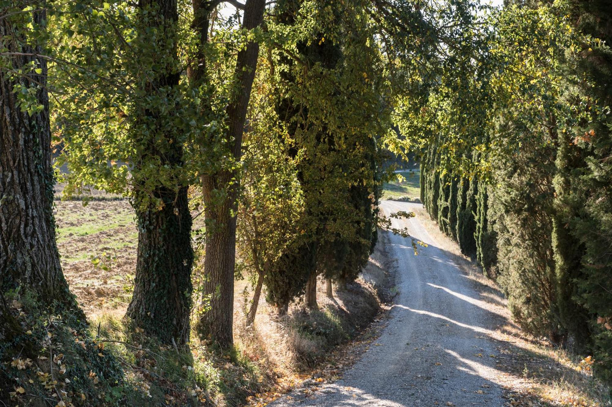 Villa Il Giardinello 蒙塔尔奇诺 外观 照片